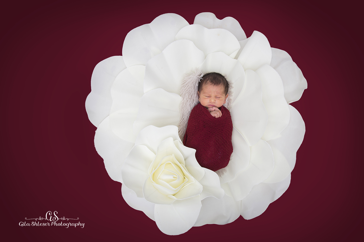 צילום גילה שלסר 0548539444 (86).jpg