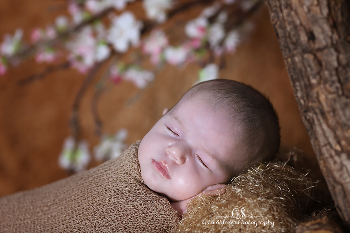 צילום גילה שלסר 0548539444 (99).jpg