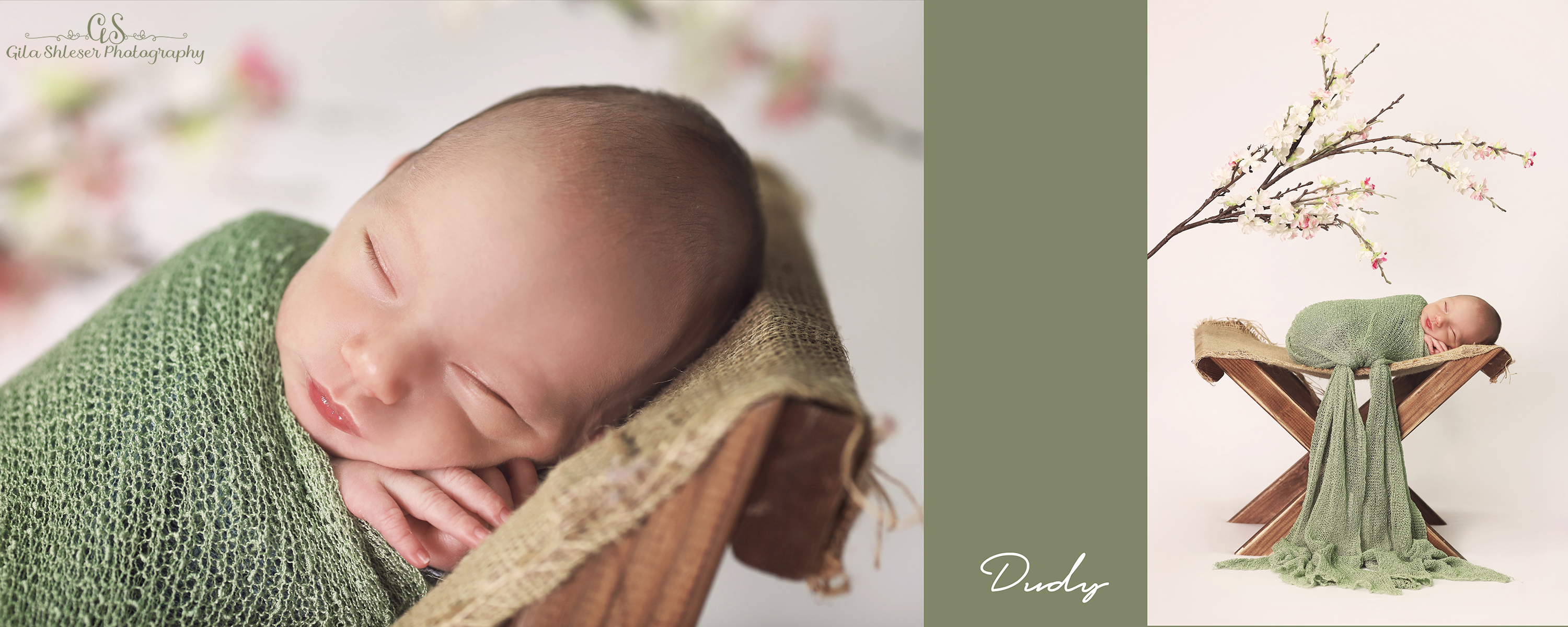 צילום גילה שלסר 0548539444.jpg (1).jpg