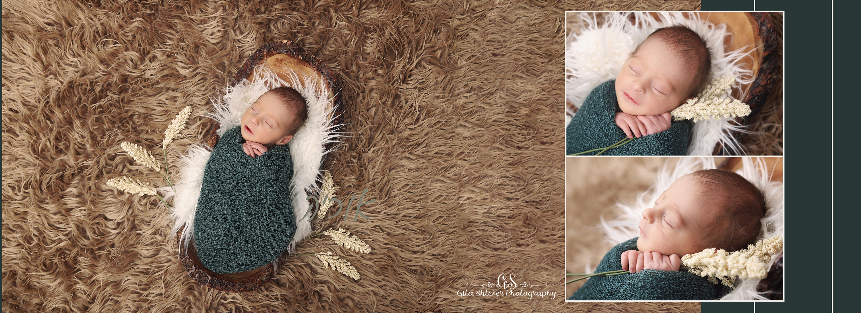 צילום גילה שלסר 0548539444.jpg (23).jpg