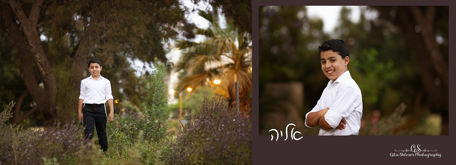 צילום: גילה שלסר-0548539444