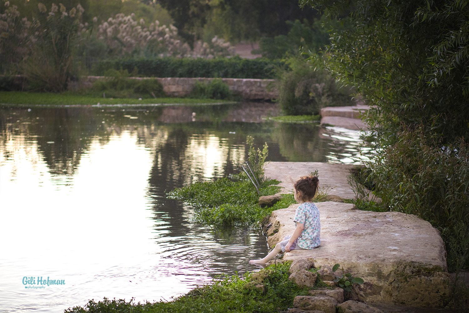 צילום: גילה שלסר-0548539444