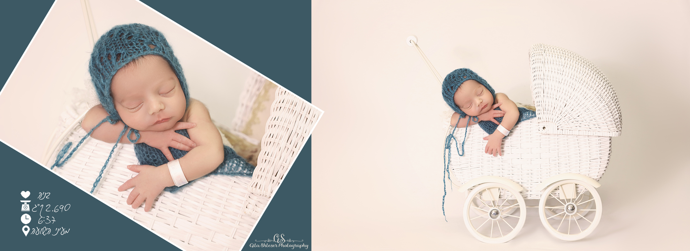 צילום: גילה שלסר-0548539444