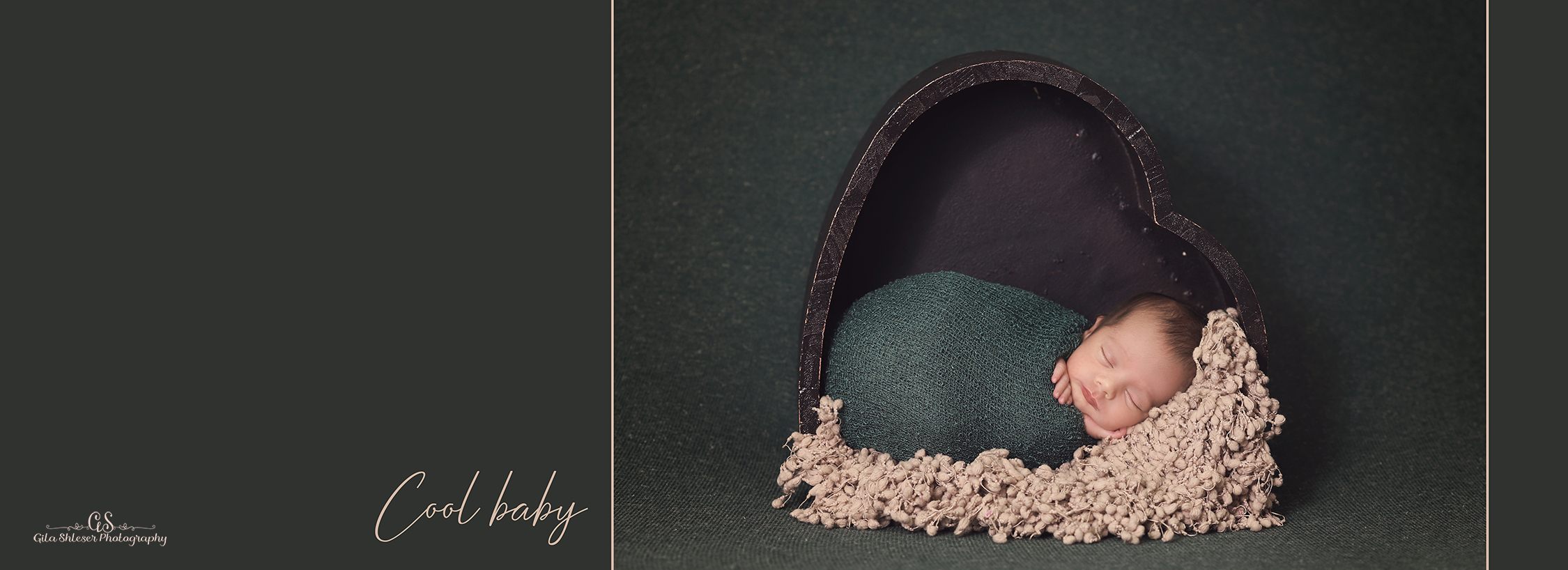 צילום: גילה שלסר-0548539444