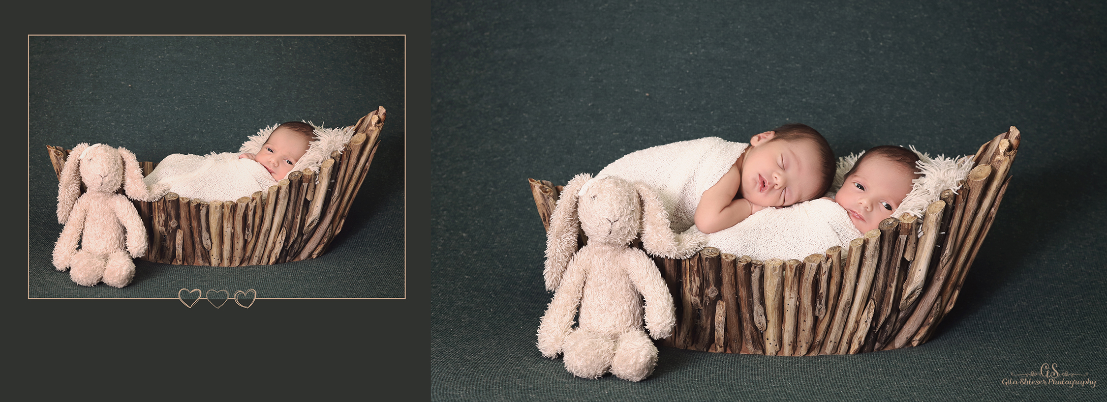 צילום: גילה שלסר-0548539444