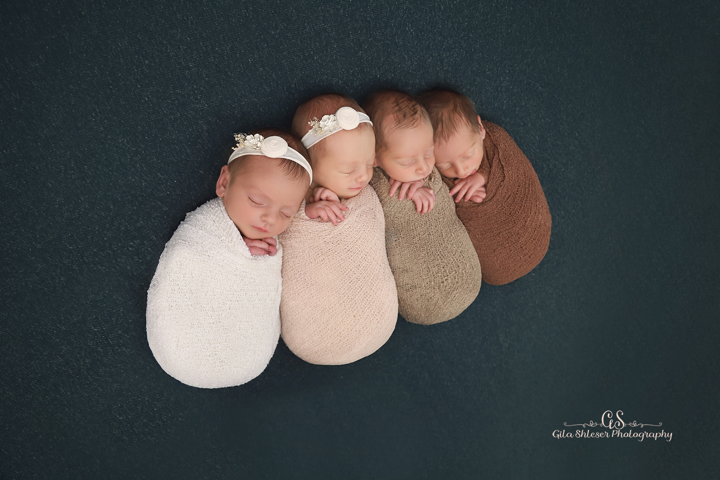 צילום: גילה שלסר-0548539444