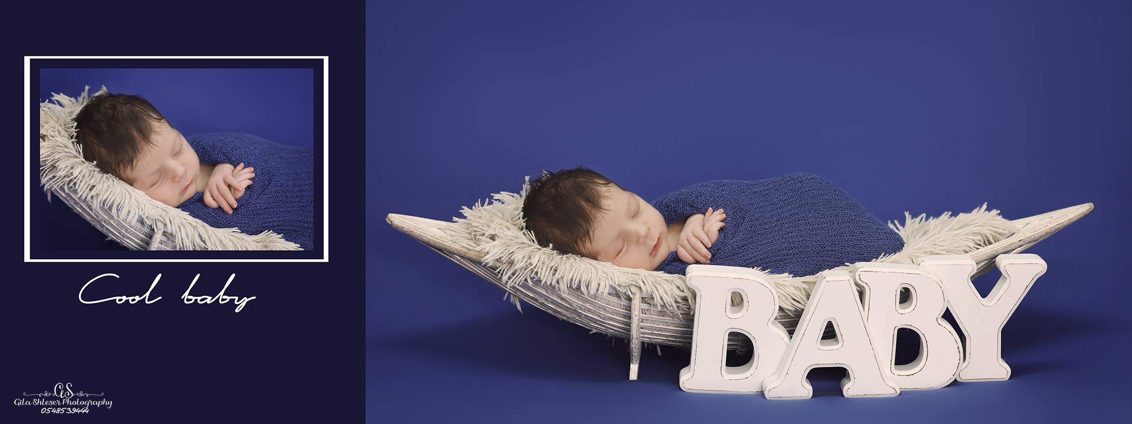 צילום גילה שלסר 0548539444