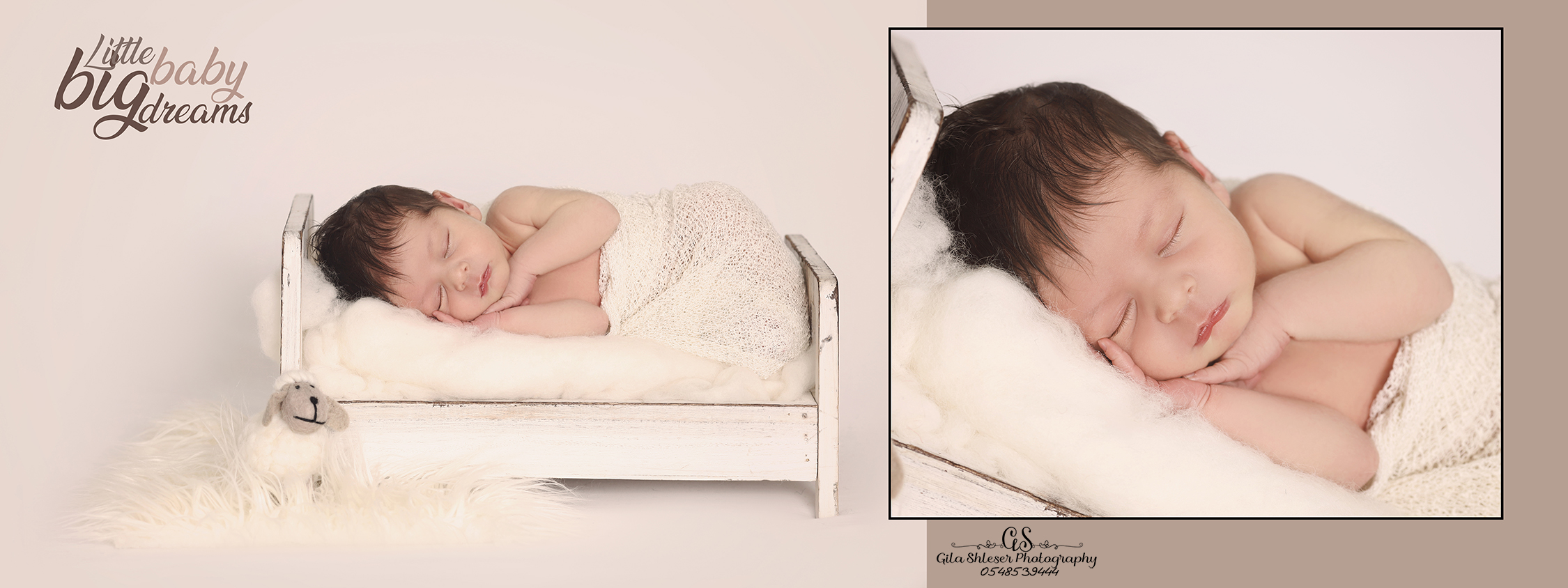 צילום גילה שלסר 0548539444