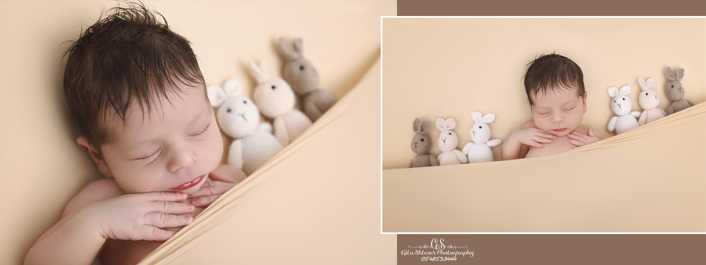 צילום גילה שלסר 0548539444