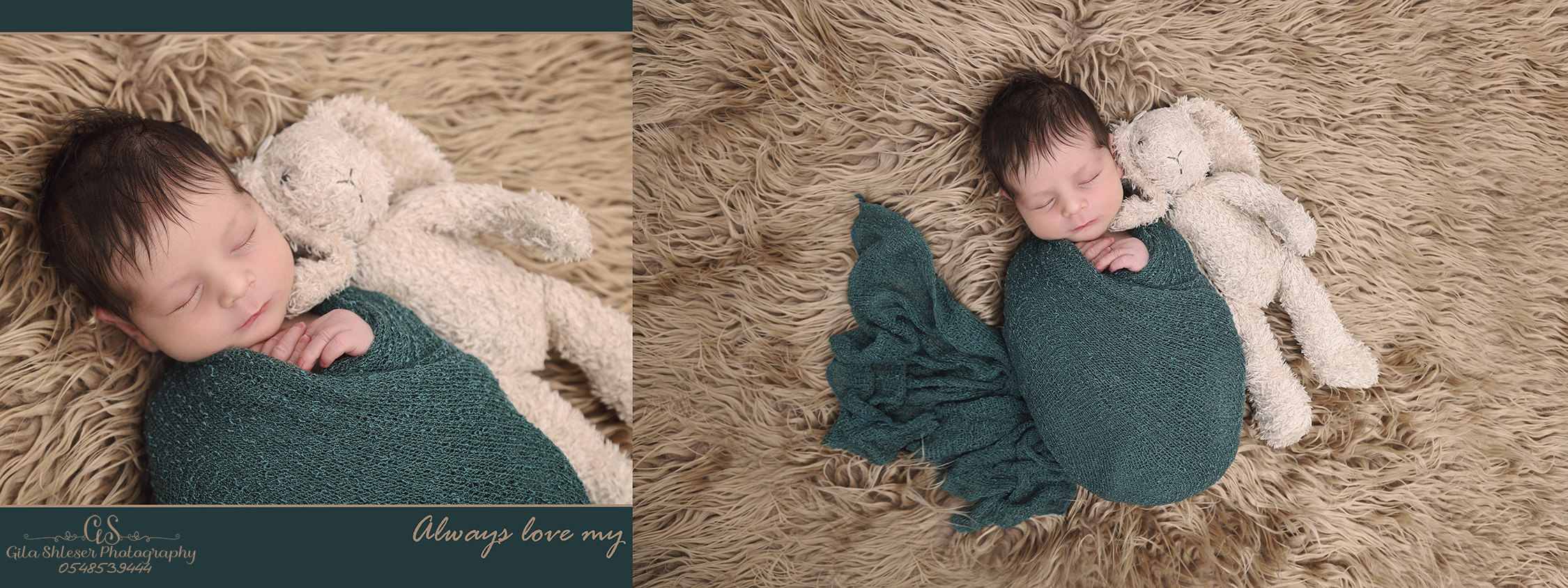 צילום גילה שלסר 0548539444