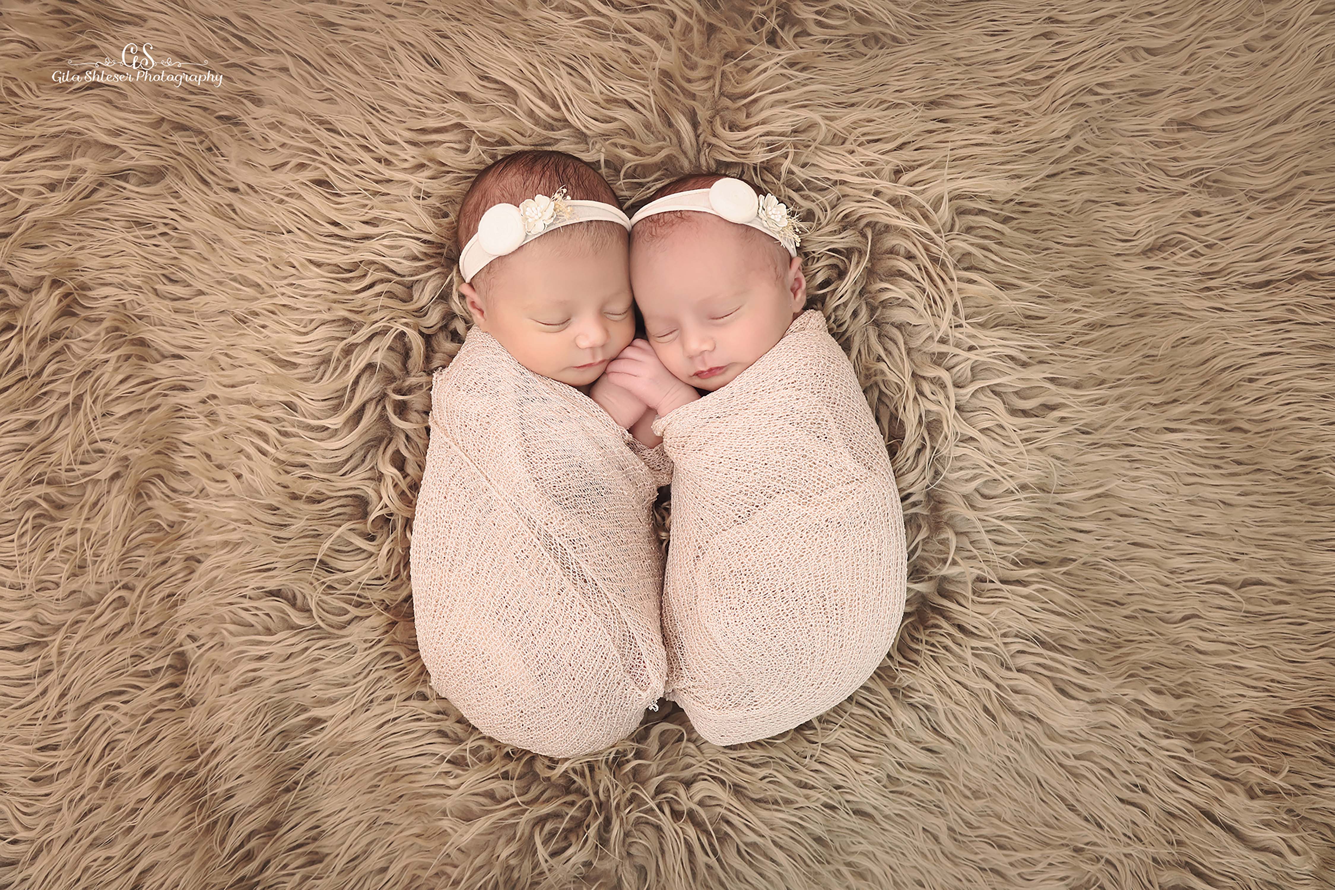 צילום: גילה שלסר 0548539444