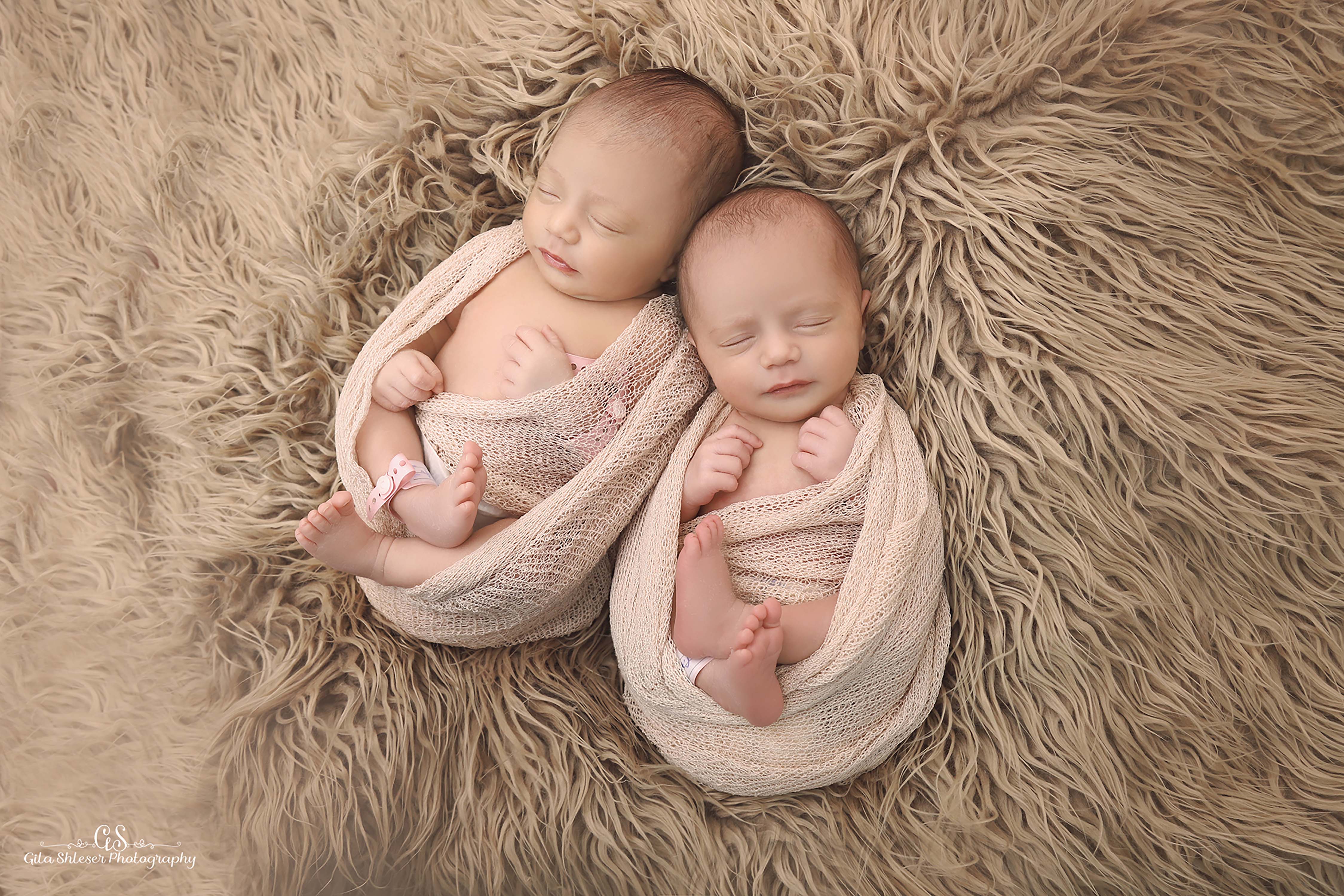 צילום: גילה שלסר 0548539444