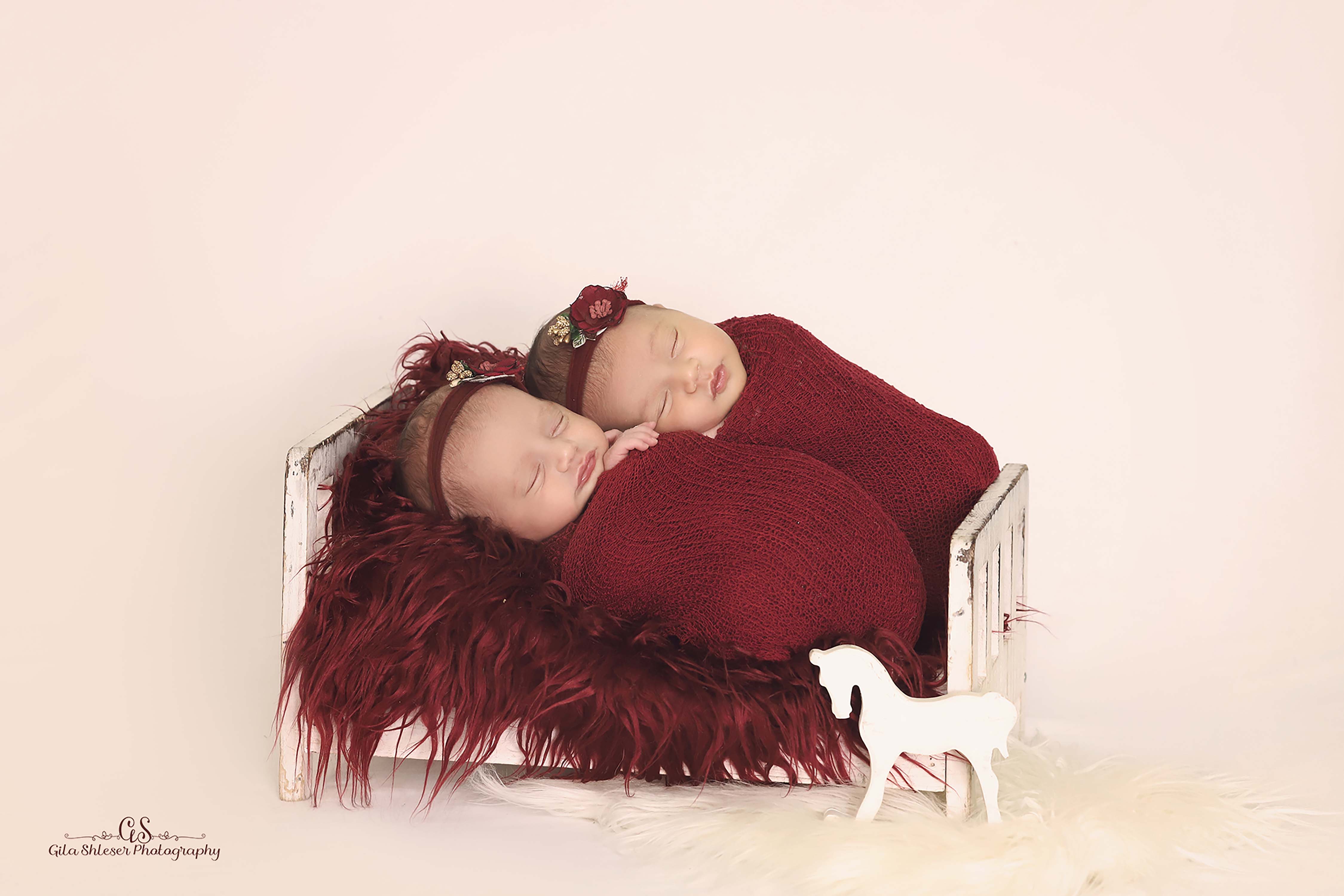 צילום: גילה שלסר 0548539444