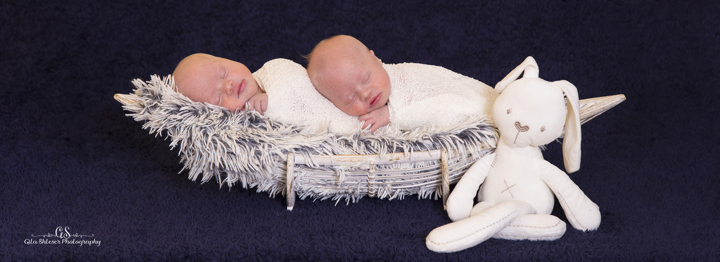 צילום גילה שלסר 0548539444