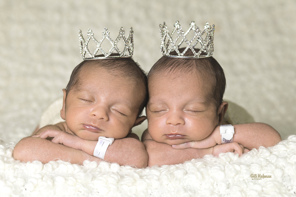 צילום גילה שלסר 0548539444