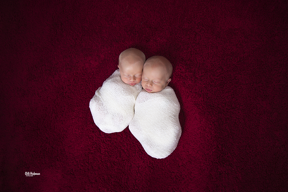 צילום גילה שלסר 0548539444