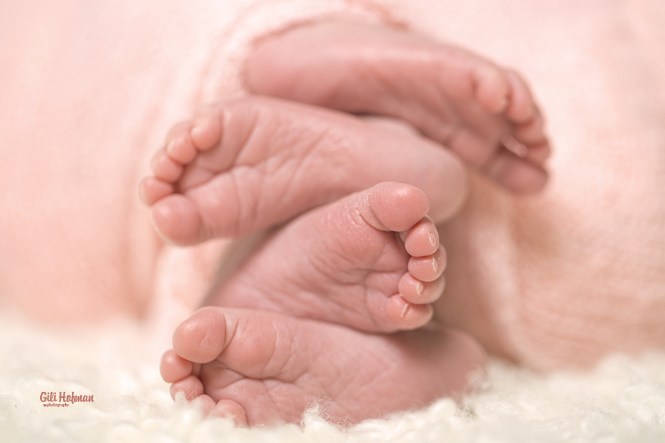 צילום גילה שלסר 0548539444