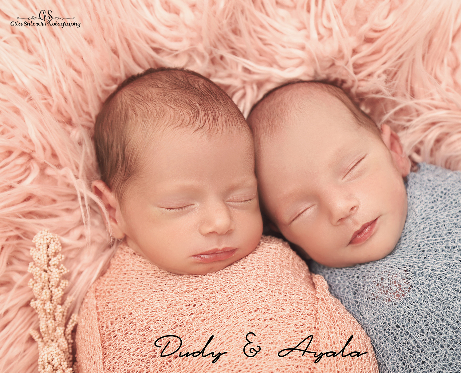 צילום גילה שלסר 0548539444