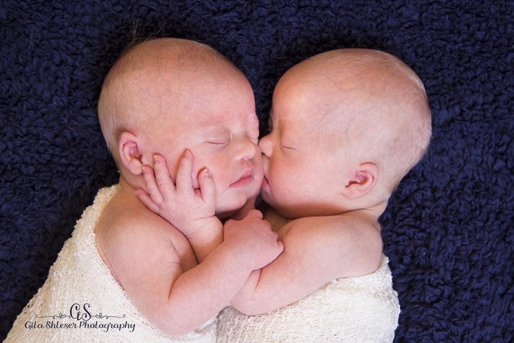 צילום גילה שלסר 0548539444