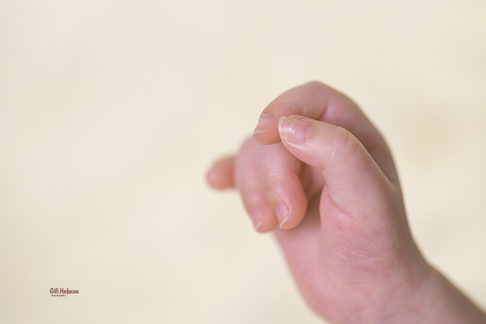 צילום: גילה שלסר 0548539444