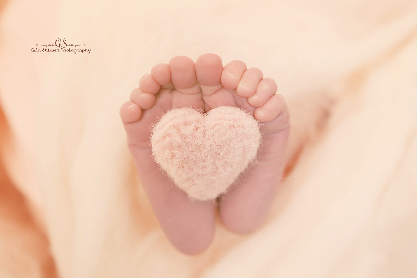 צילום: גילה שלסר 0548539444