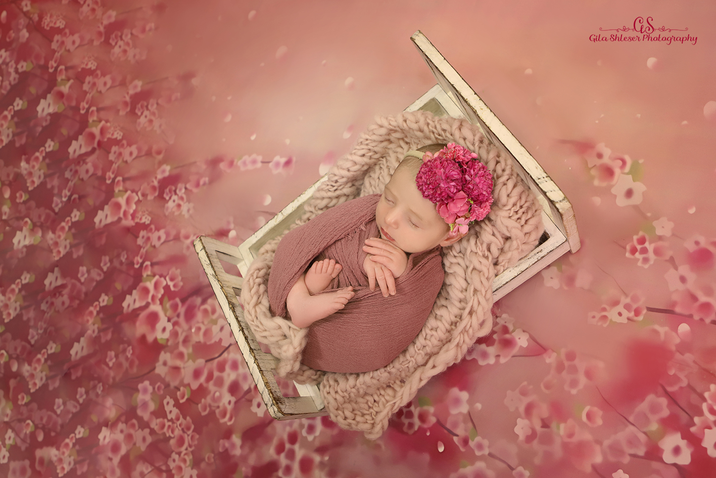 צילום: גילה שלסר 0548539444