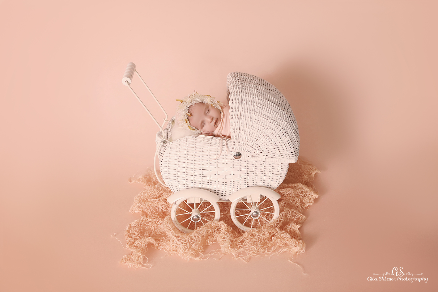 צילום: גילה שלסר 0548539444