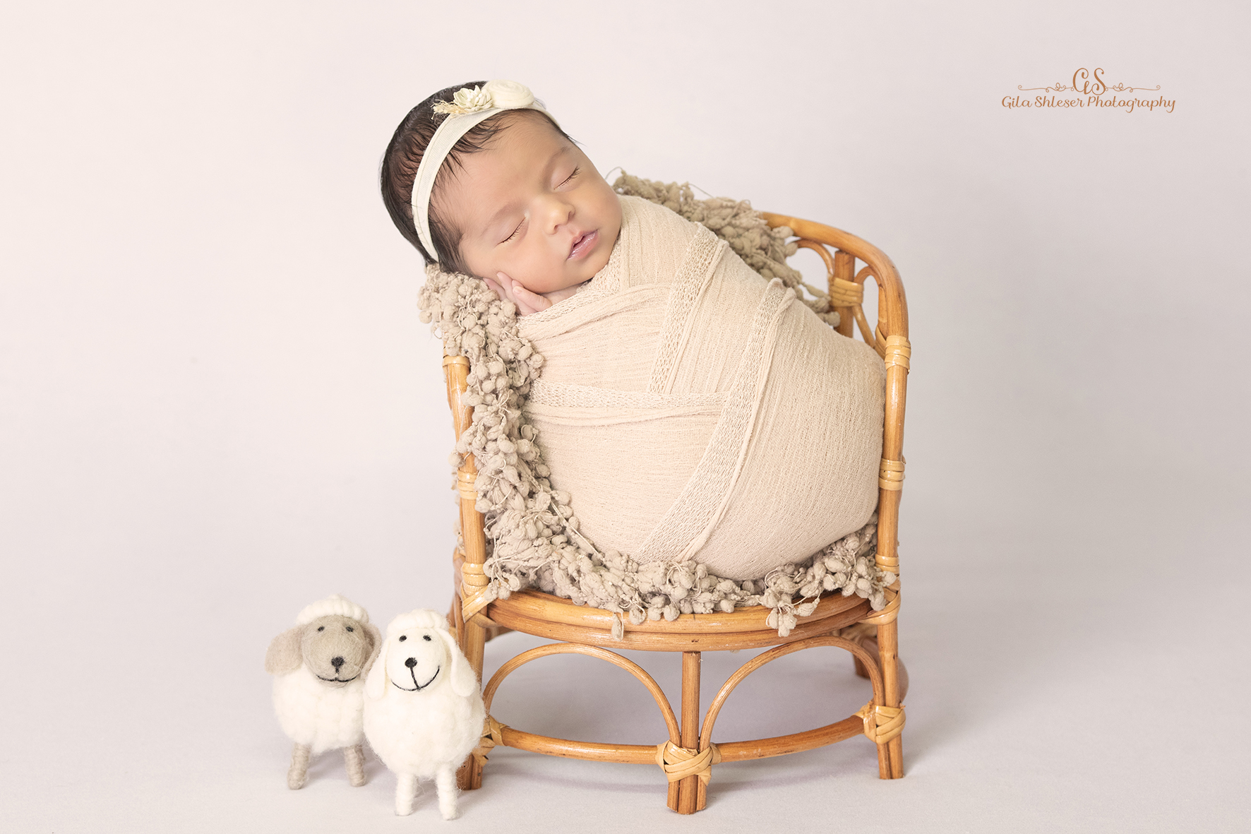 צילום גילה שלסר 0548539444