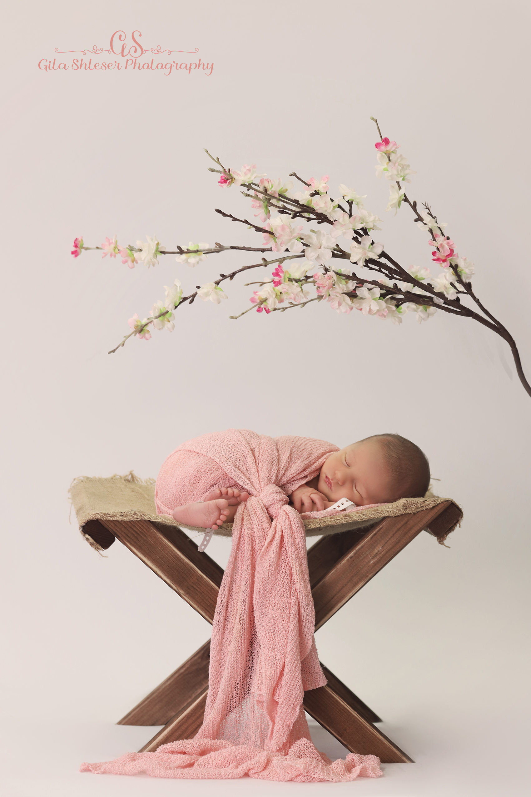 צילום גילה שלסר 0548539444