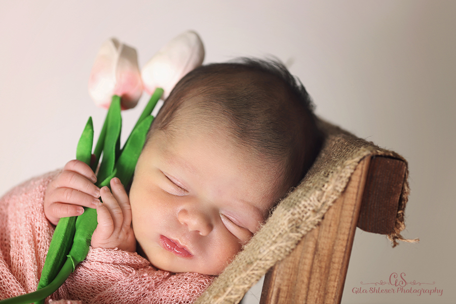 צילום: גילה שלסר 0548539444