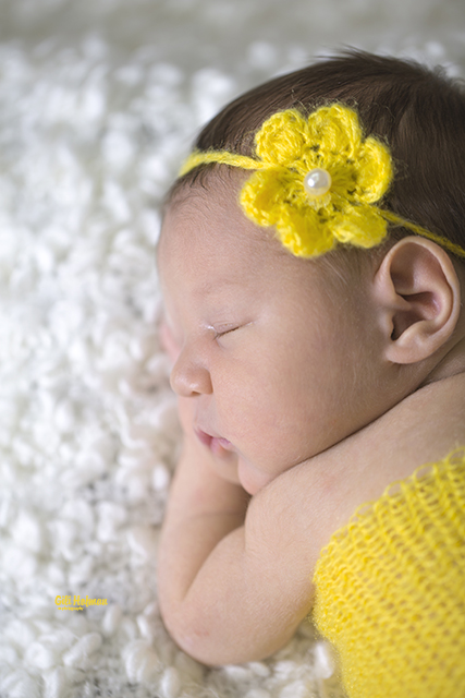 צילום: גילה שלסר 0548539444