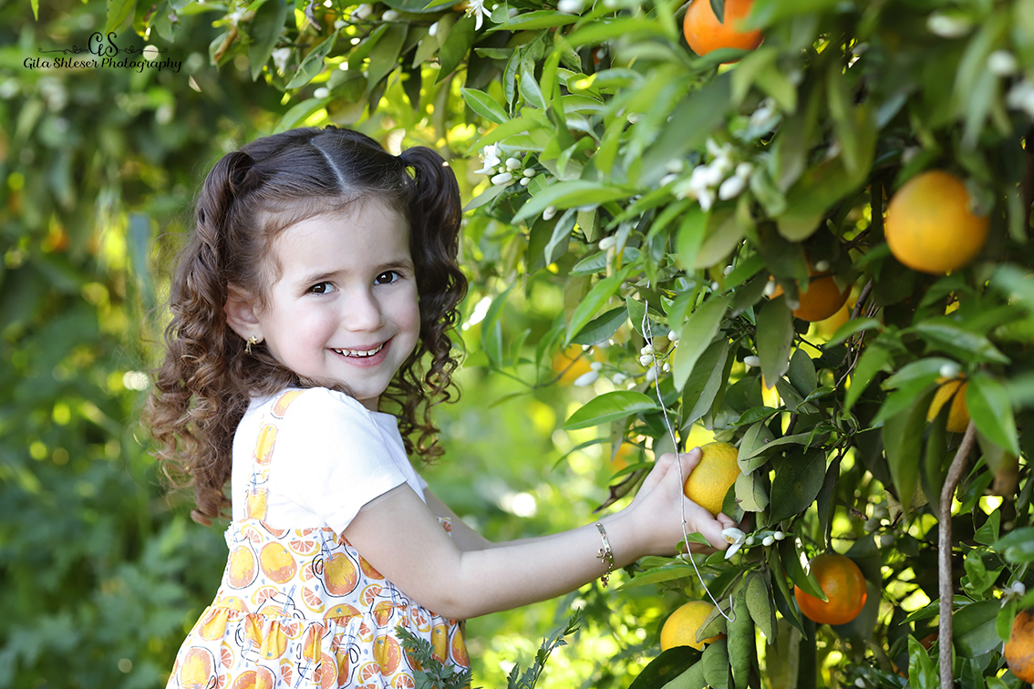 צילום: גילה שלסר-0548539444