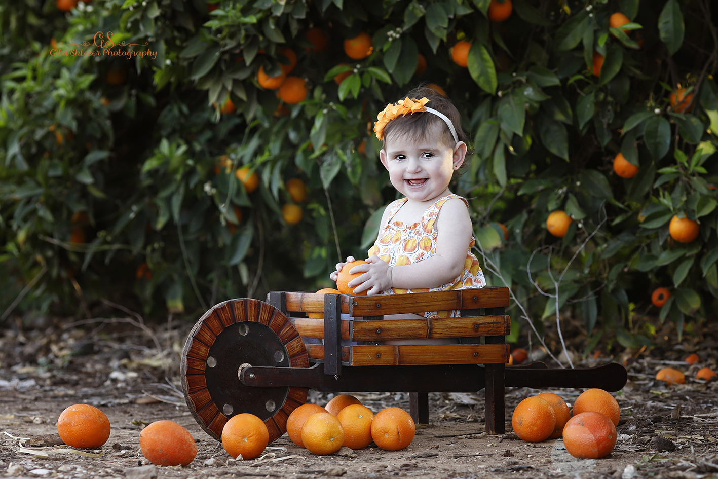 צילום: גילה שלסר-0548539444