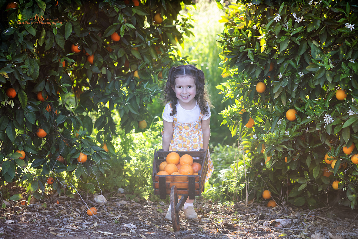 צילום: גילה שלסר-0548539444