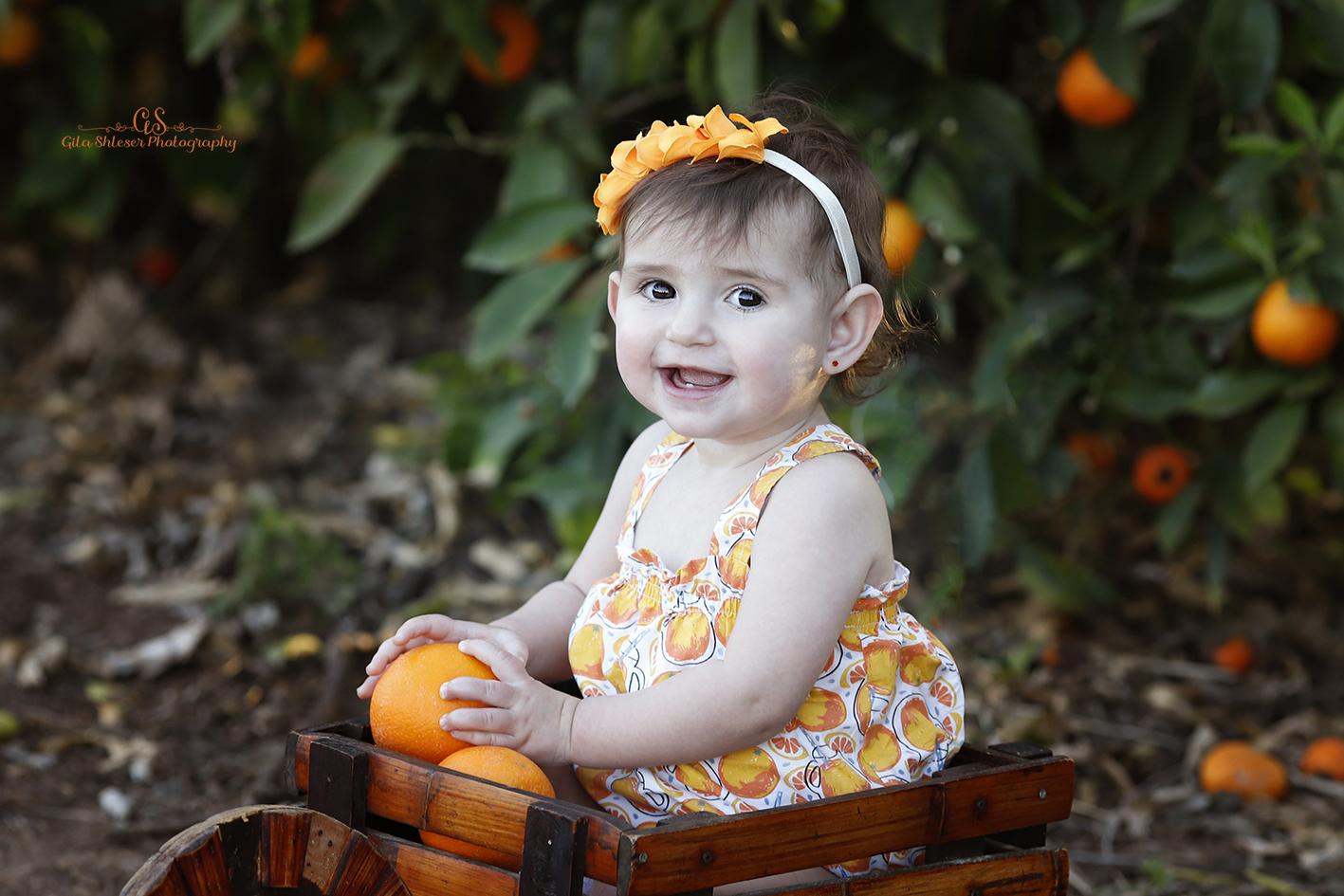 צילום: גילה שלסר 0548539444