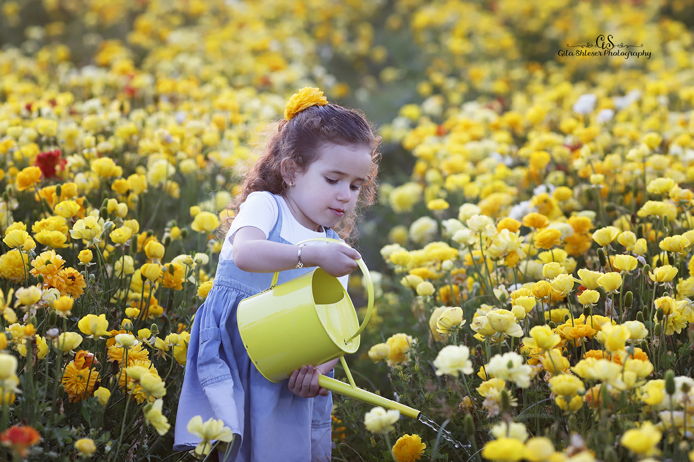 צילום: גילה שלסר 0548539444
