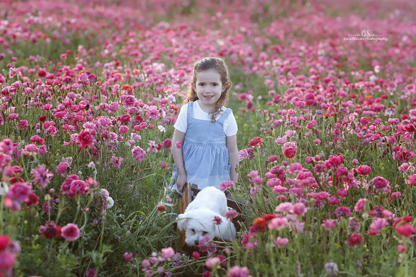 צילום: גילה שלסר 0548539444