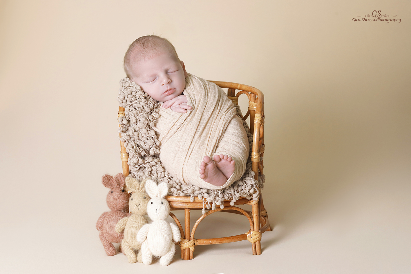 צילום: גילה שלסר 0548539444