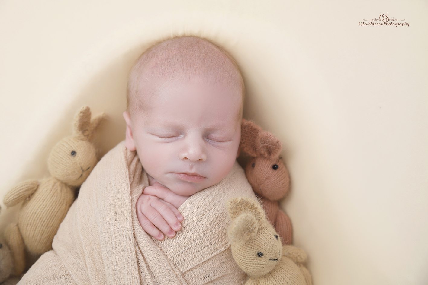 צילום: גילה שלסר 0548539444