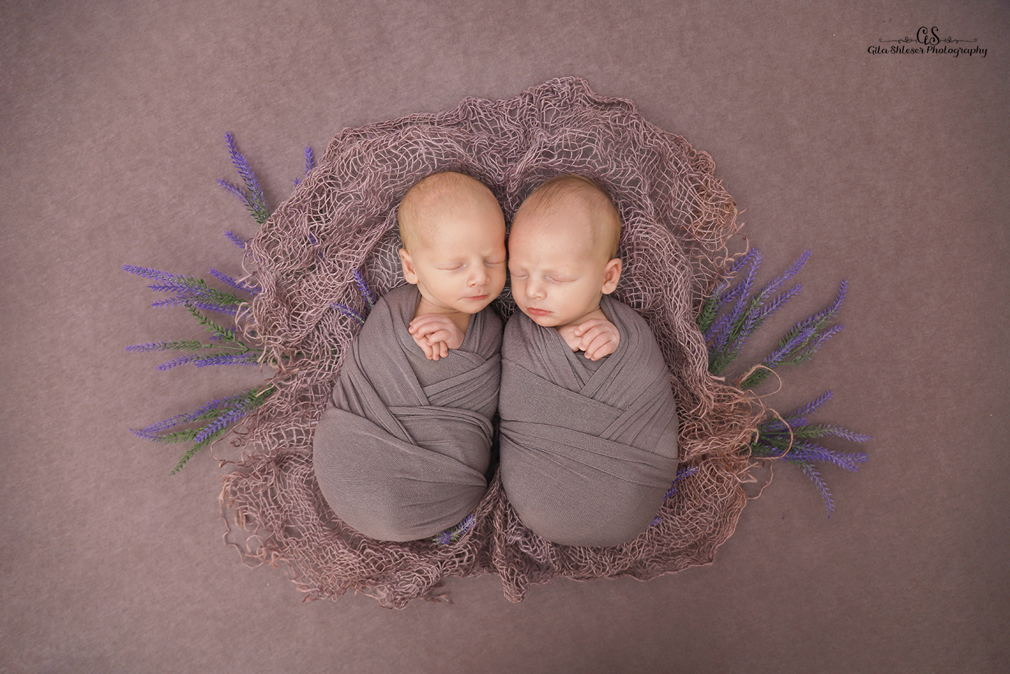 צילום: גילה שלסר 0548539444