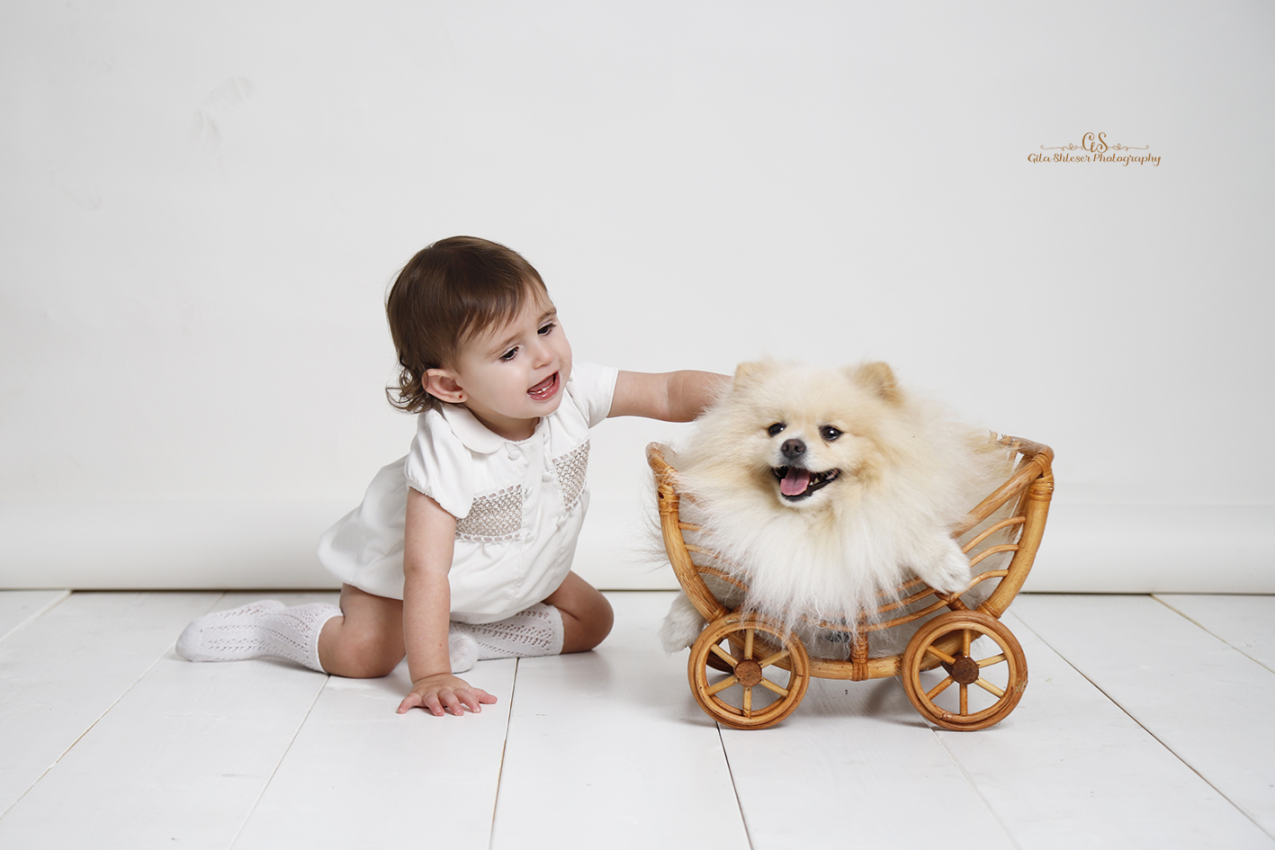 צילום: גילה שלסר 0548539444