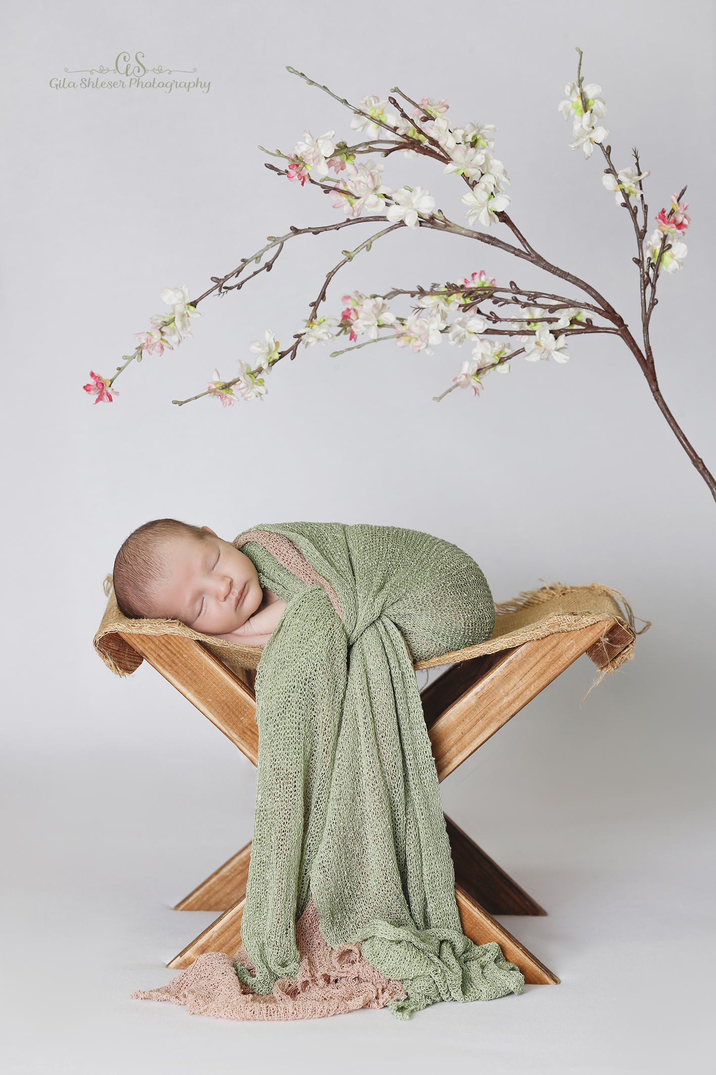 צילום: גילה שלסר 0548539444