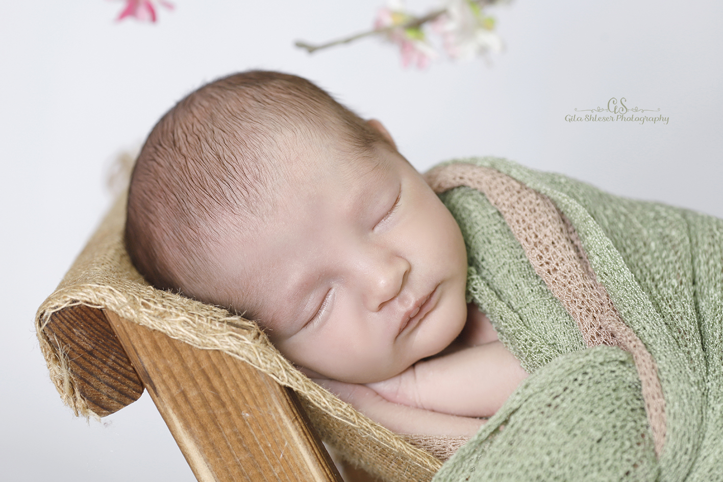 צילום: גילה שלסר 0548539444