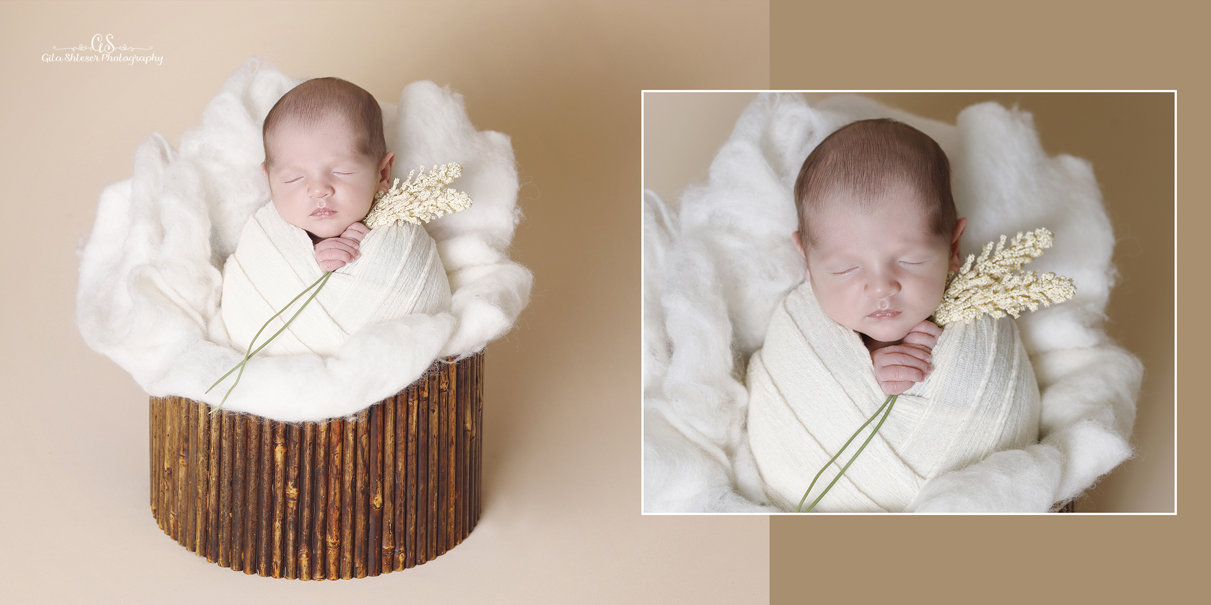 צילום: גילה שלסר 0548539444