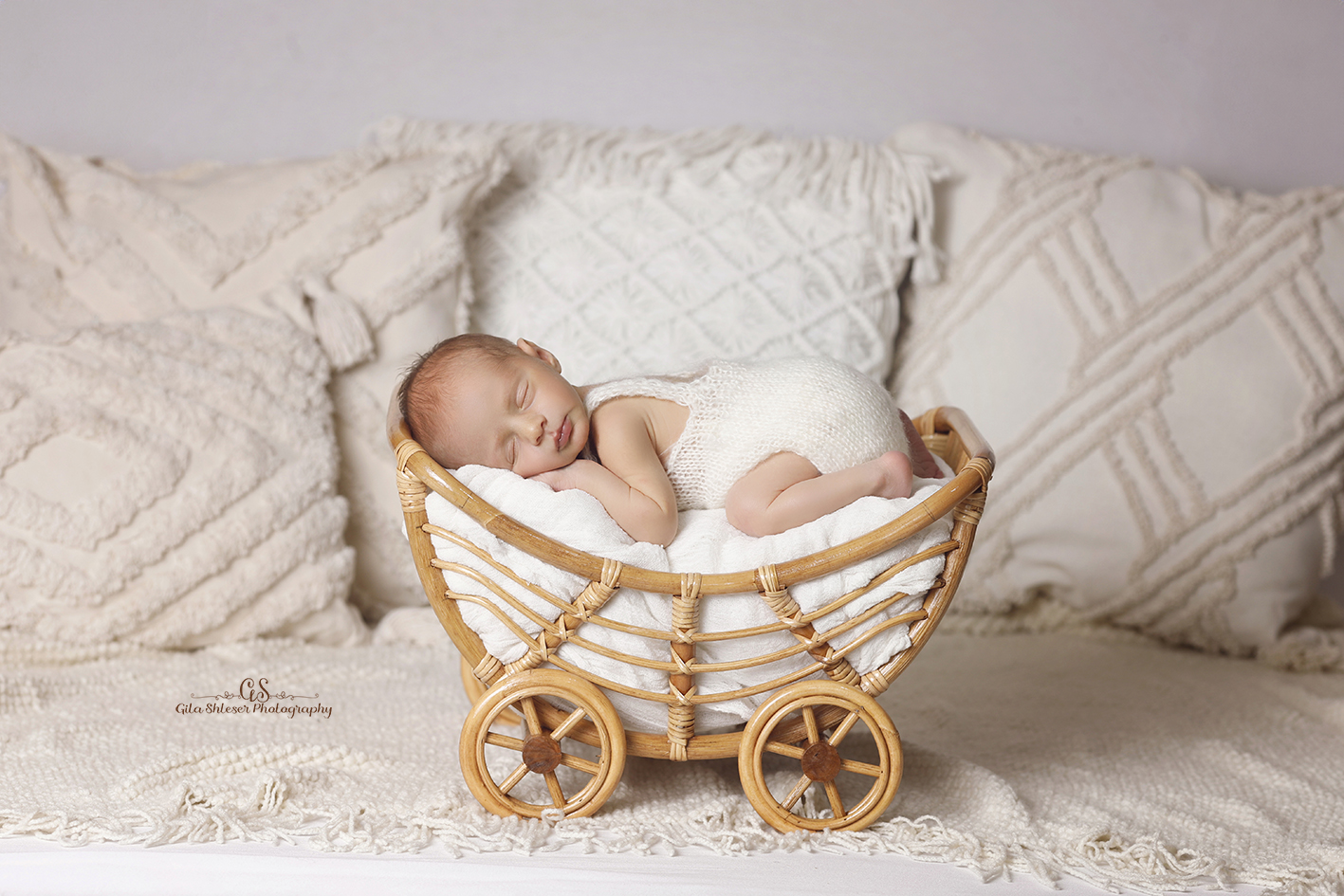 צילום: גילה שלסר 0548539444