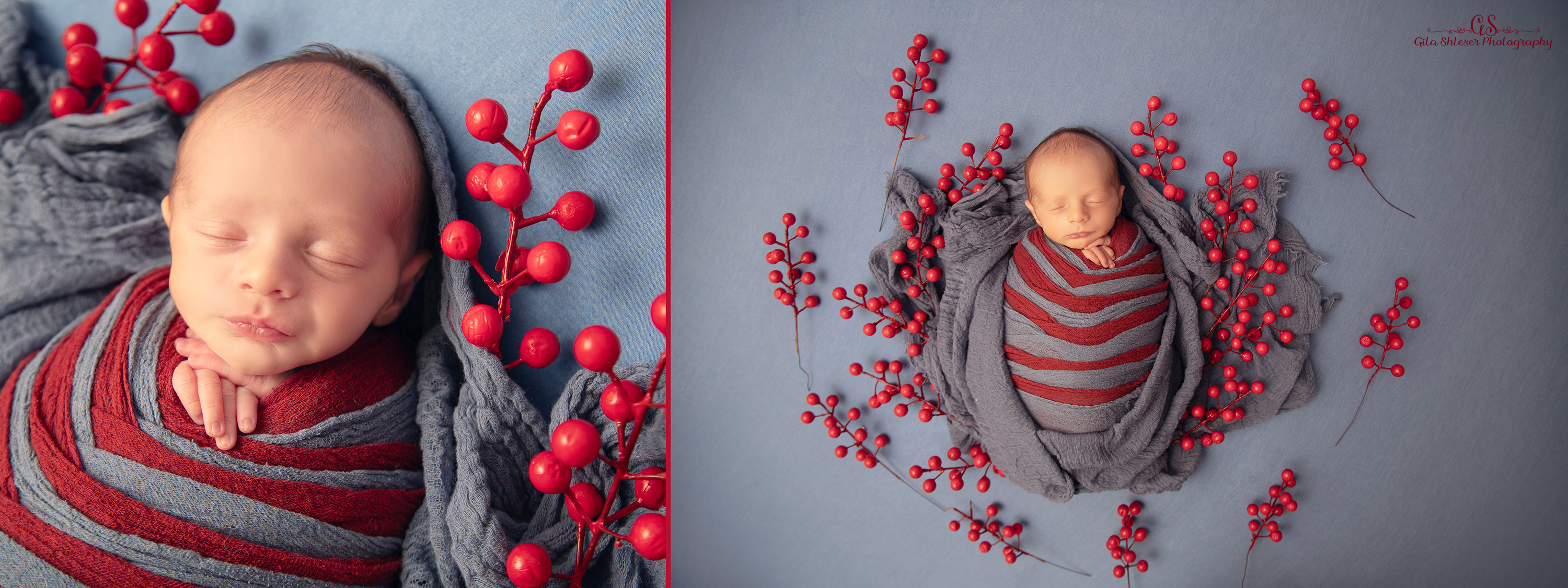 צילום: גילה שלסר 0548539444