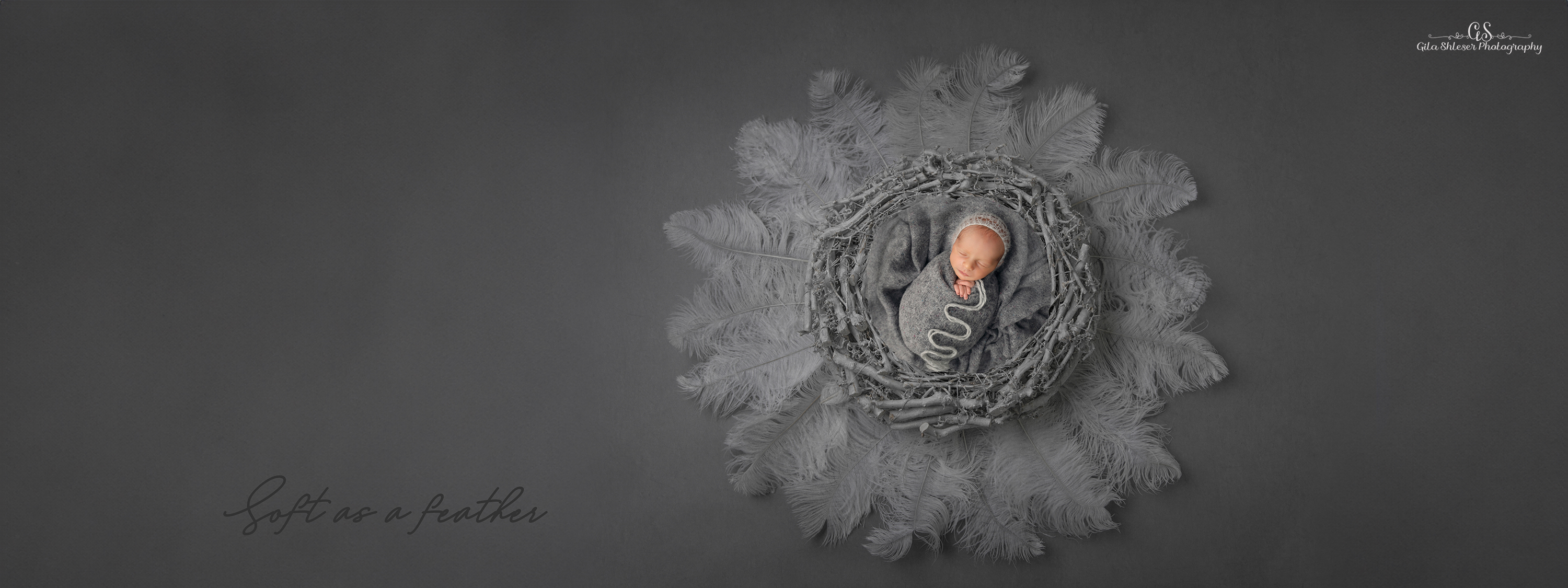 צילום: גילה שלסר 0548539444