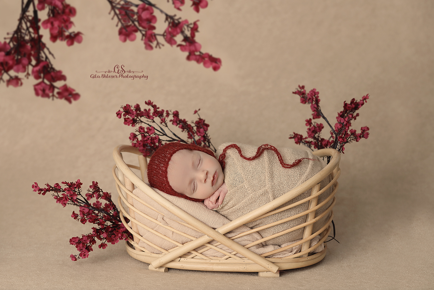 צילום: גילה שלסר 0548539444