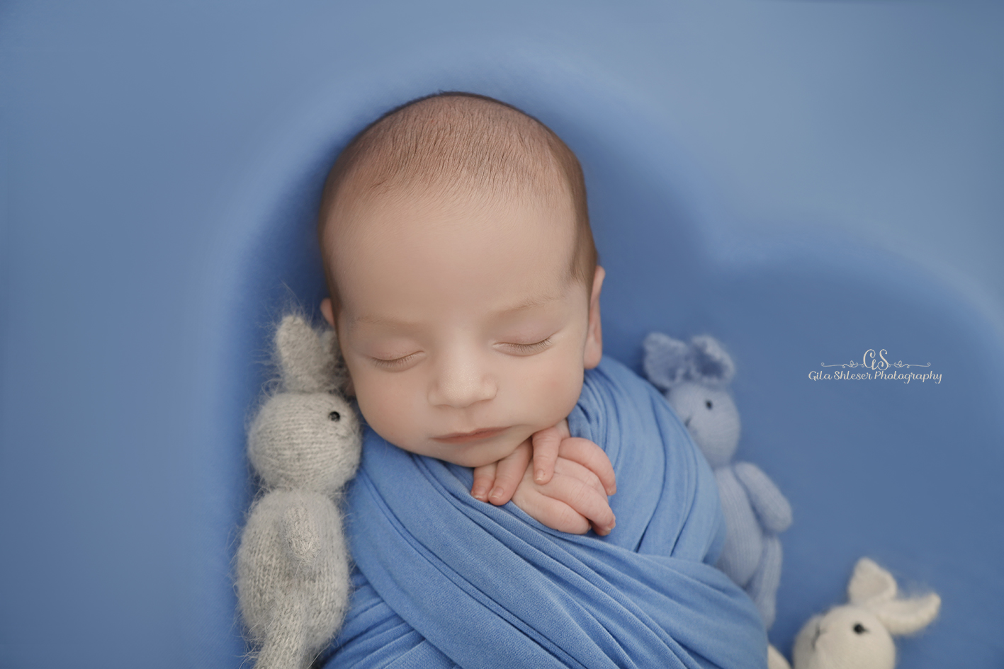 צילום: גילה שלסר 0548539444