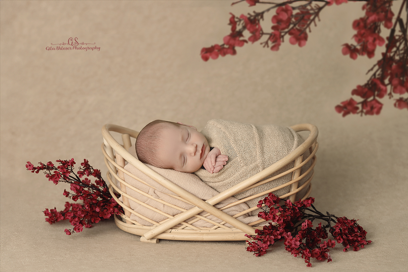 צילום: גילה שלסר 0548539444